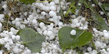 La pedrea de du00edas atru00e1s fue letal para el cinturu00f3n verde en Cu00f3rdoba.