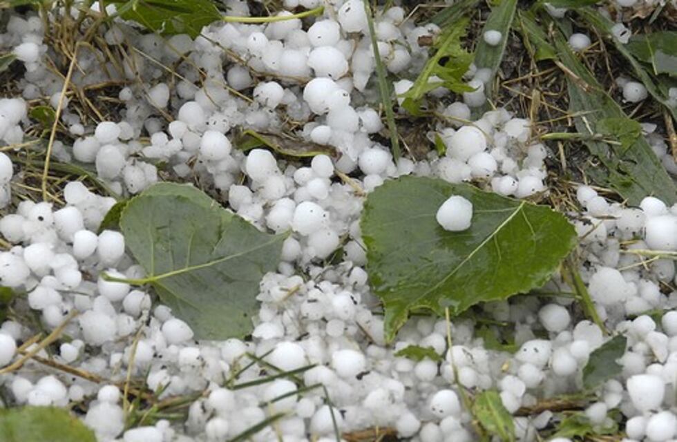Tras el granizo, Córdoba subsidiará aportes a productores hortícolas