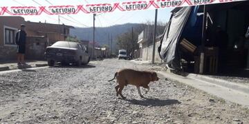 Encontraron a una mujer muerta en Barrio Unión (La Gaceta)