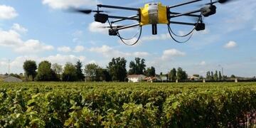Desde Iscamen informaron que utilizarán drones para detectar patios en los que los propietarios han plantado frutales\u002E