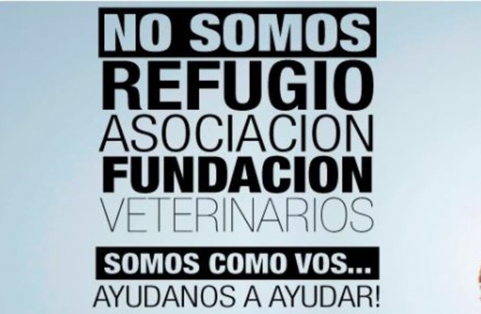 Organizan bingo a beneficio de perros y gatos en situación de calle