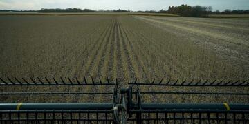 Cosecha Soja (imagen ilustrativa)