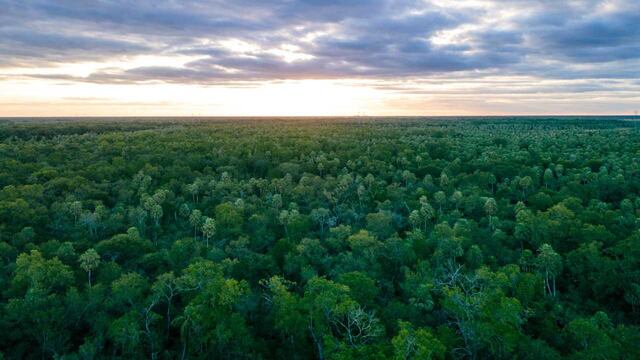 El gobierno chaqueño firmó acuerdos para conservar los bosques de la provincia