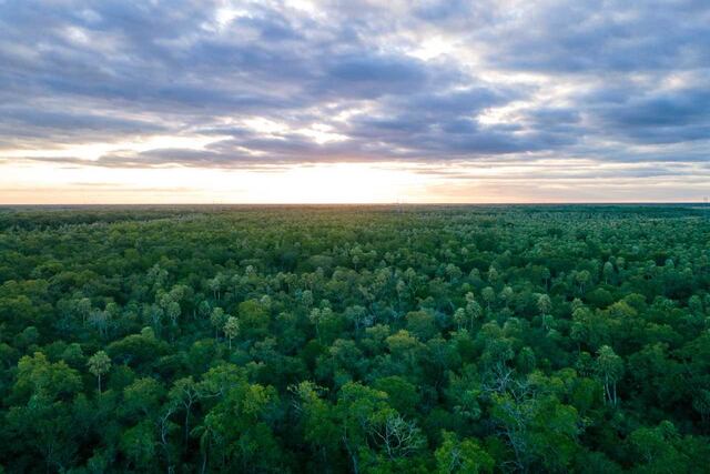 El Ordenamiento Territorial de Bosques Nativos tiene por objetivo categorizar los bosques de la provincia para su conservación.