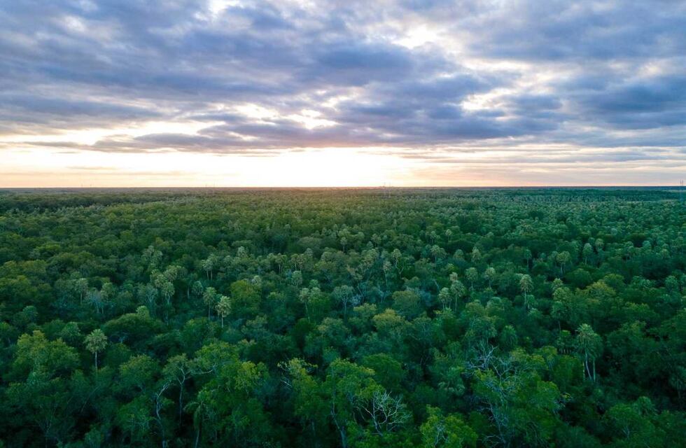 Chaco: el gobierno hará talleres para consensuar el Ordenamiento Territorial de Bosques Nativos
