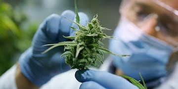 Según una encuesta realizada por la UBA, el acceso a las drogas resulta más sencillo que anteriormente y la problemática se hace más notable.