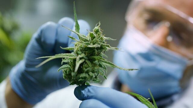 Según una encuesta realizada por la UBA, el acceso a las drogas resulta más sencillo que anteriormente y la problemática se hace más notable.