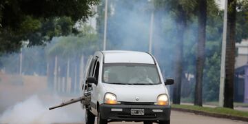 Fumigación por dengue en Rafaela