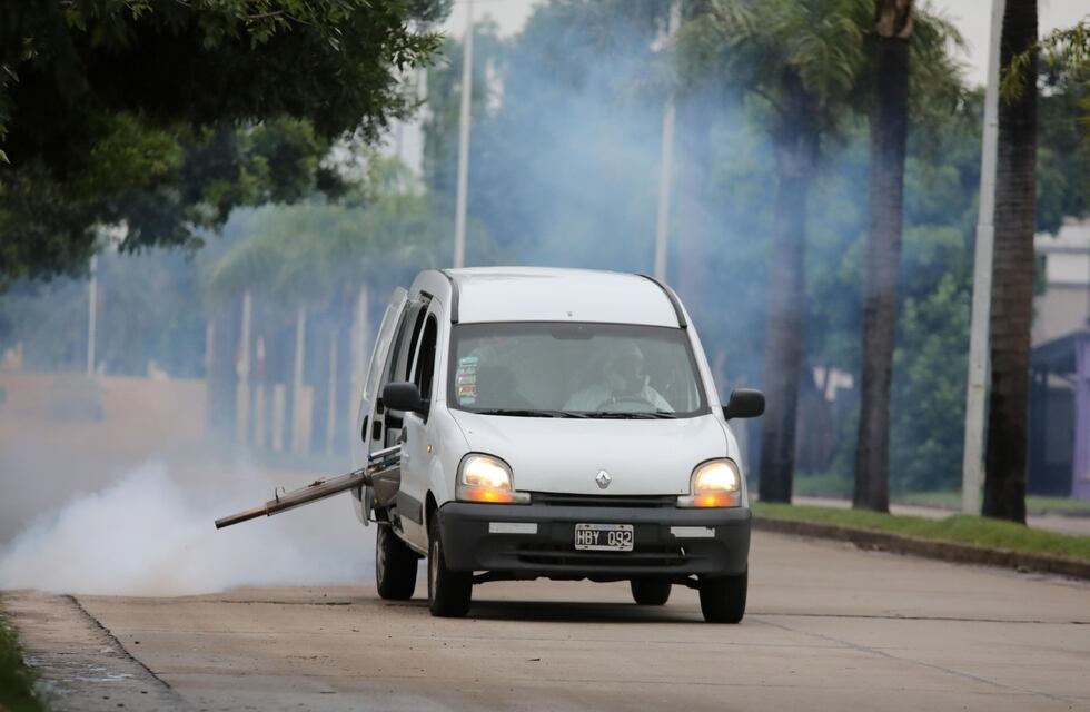 Fumigarán en los barrios y hay internada una paciente con dengue hemorrágico