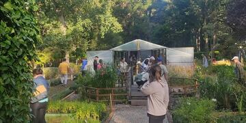 Pehuen Co vivió otro fin de semana al 100% de ocupación