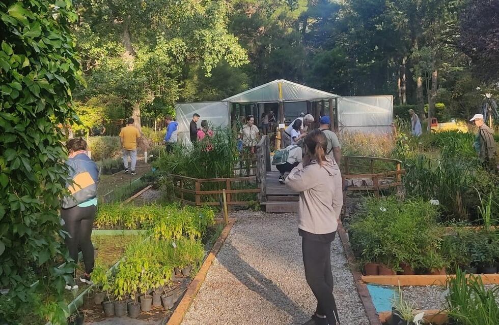 Pehuen Co: actividades para el último finde de vacaciones