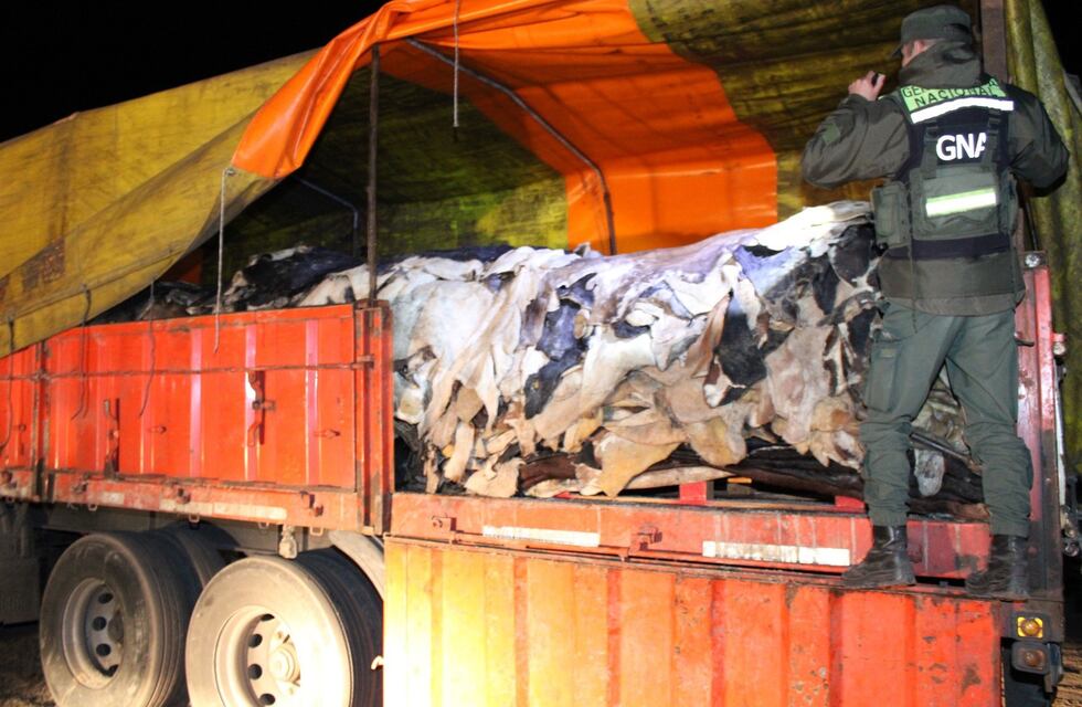 Incautaron en Córdoba un camión con pieles y cueros de animales valuados en una fortuna