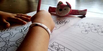 Un fallo poco usual de la Justicia de Córdoba otorga la custodia de una menor a su hermano mayor de edad.