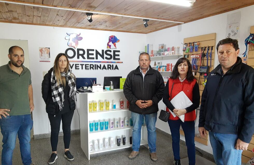Esterilizaciones quirúrgicas de canes en la localidad de Orense