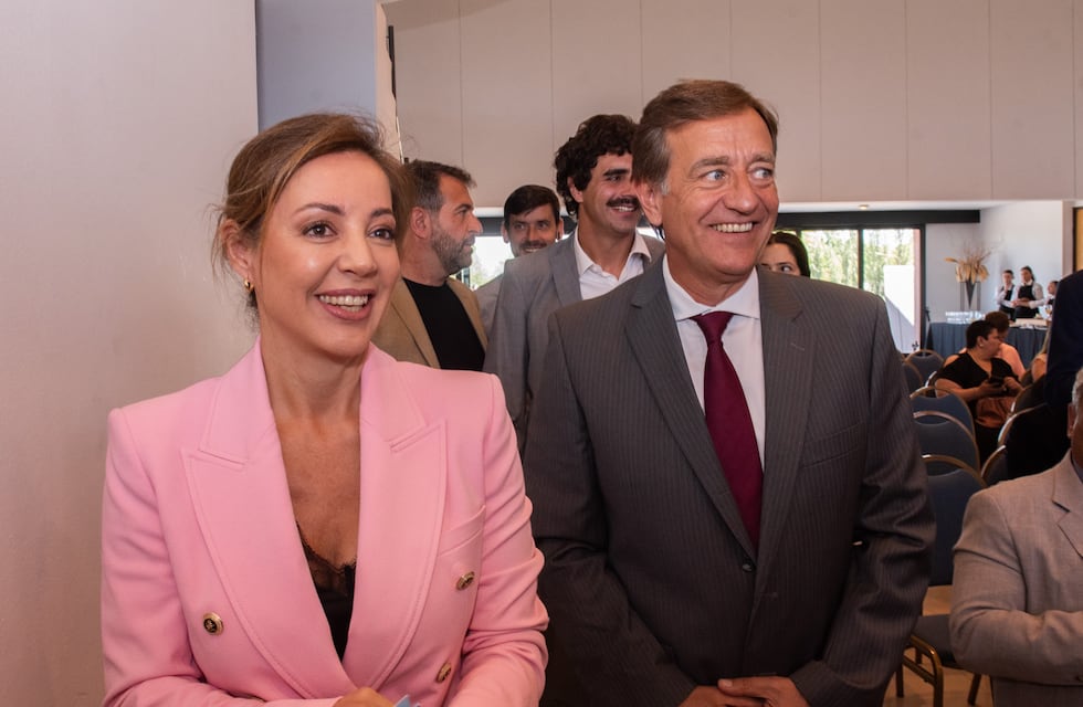 Beneficio de Energía para Mendoza: Nación asumirá la rebaja en las tarifas a productores locales
