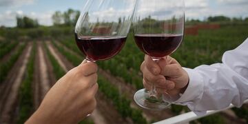 El vino es salud: un foro para defender a la bebida nacional como alimento