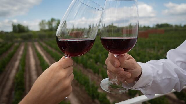 Estudian utilizar botellas de plástico especiales para el vino.