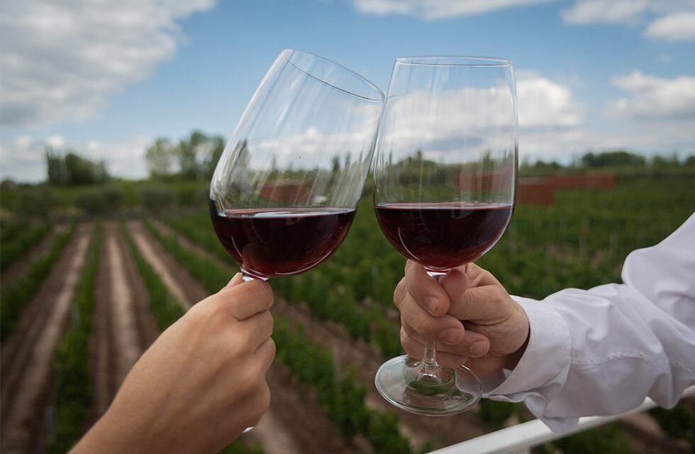 El vino es salud: un foro para defender a la bebida nacional como alimento