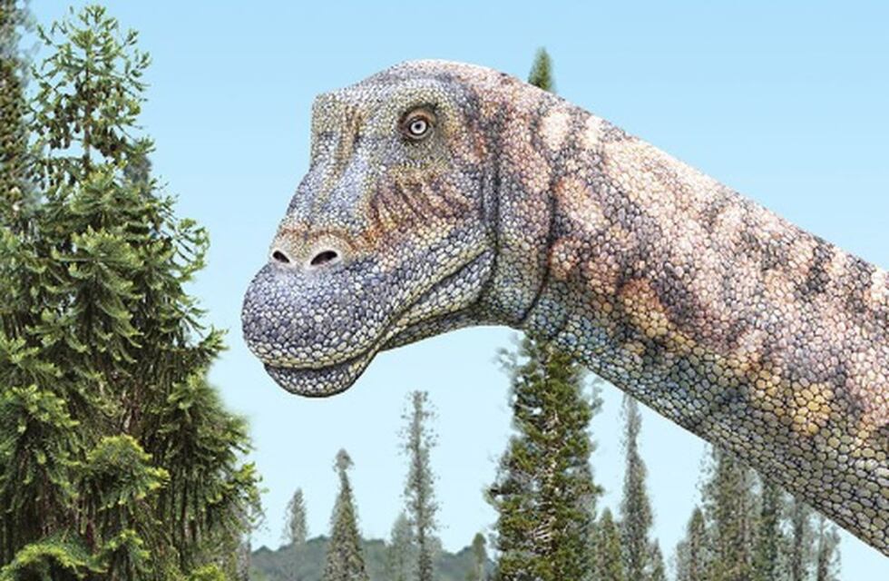 Histórico hallazgo: mendocino descubre un Titanosaurio en el desierto chileno de Atacama