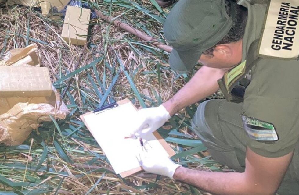 Incautan contrabando millonario de marihuana en Puerto Esperanza
