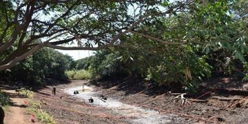 Resultados negativos en la búsqueda de Cristian Schaerer\u002E