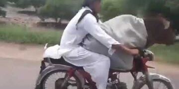 Filman a un hombre paseando en moto con una vaca