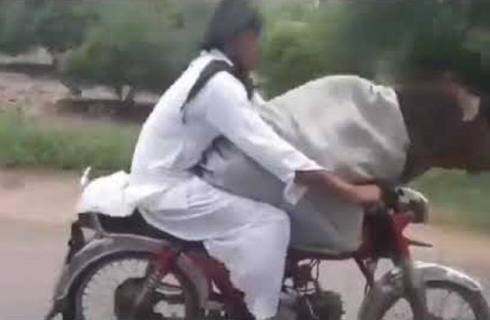 Viral: el insólito video de un hombre paseando en moto con una vaca