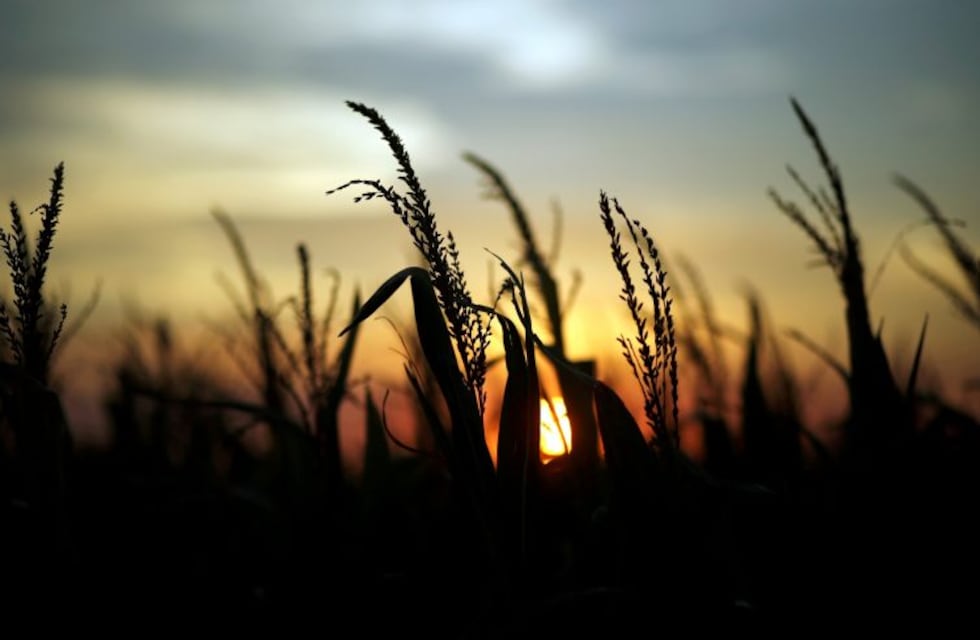 ¿Puede pasar en la Argentina? - Órdenes de reparación satisfactorias