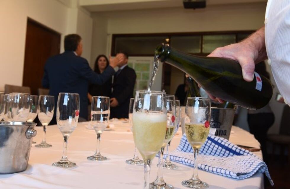 Presentaron el primer vino espumante con hierbas de Mendoza