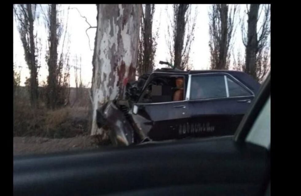 Murió tras chocar contra un árbol en San Rafael