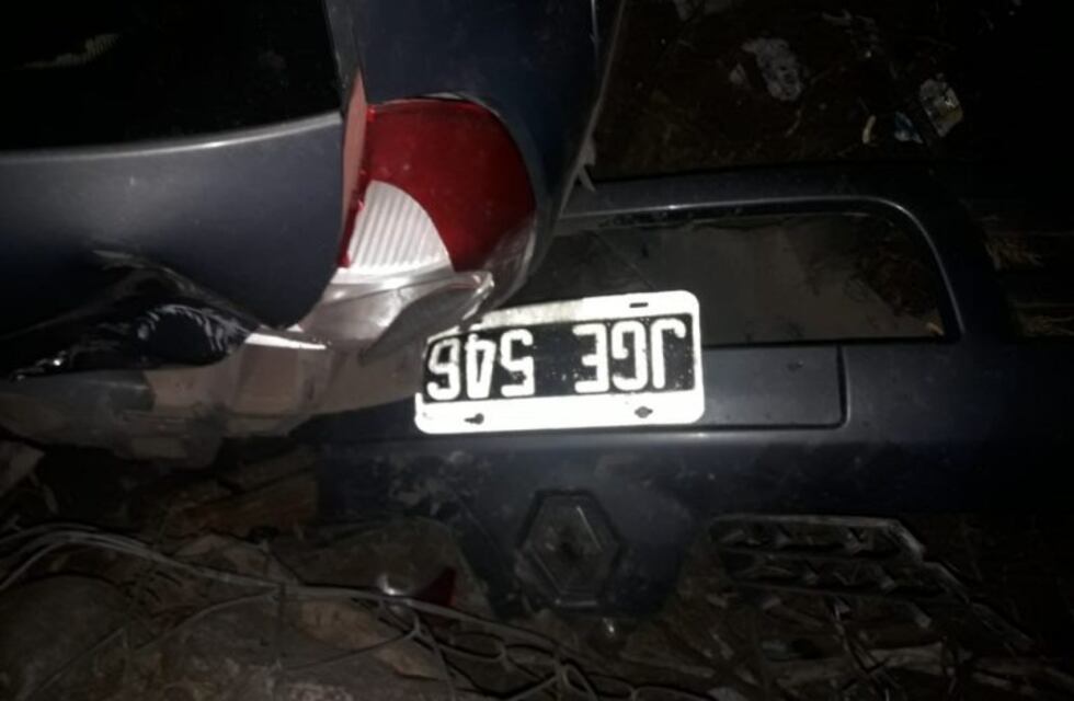 Muere automovilista tras chocar un caballo por ruta 40