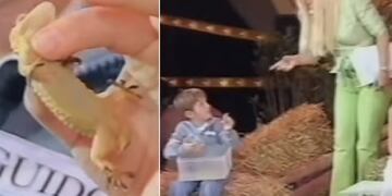 Qué fue de la vida del nene al que Susana le perdió la salamandra en TV