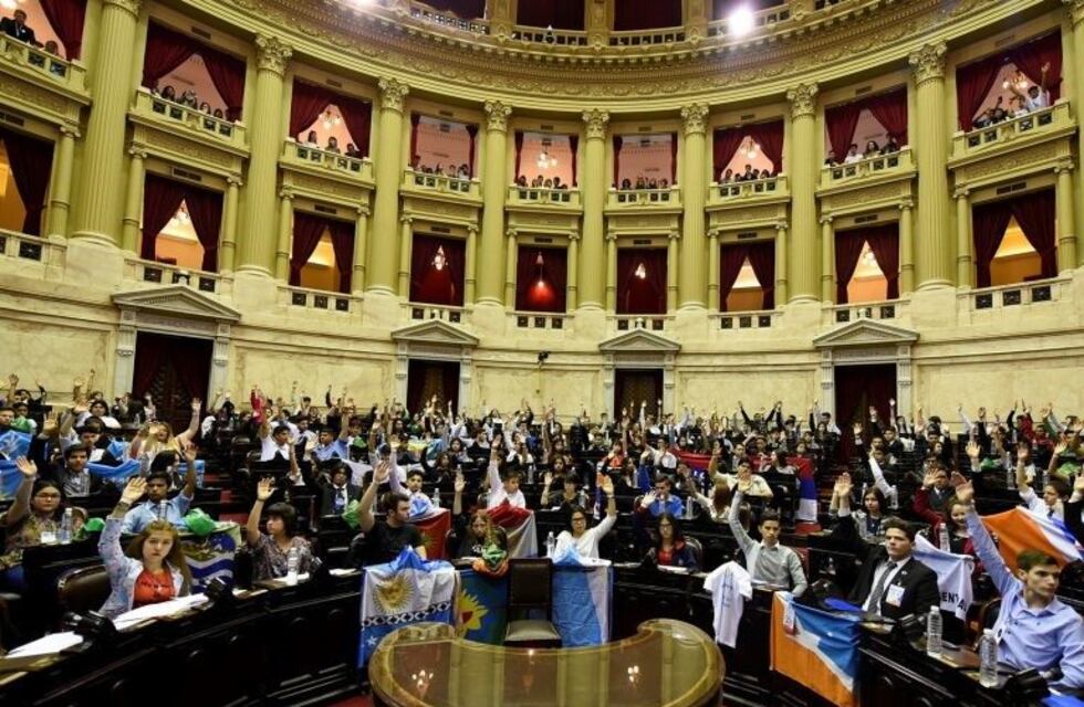 Jóvenes parlamentarios fueguinos defendieron en el congreso la causa Malvinas y la Ley 19640