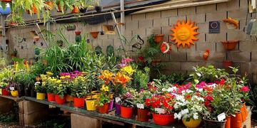 Vivero Terra en Carlos Paz