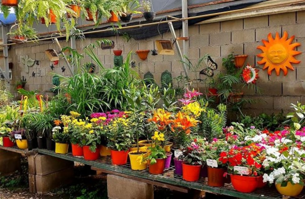 El importante aporte ambiental que hace un vivero de Carlos Paz