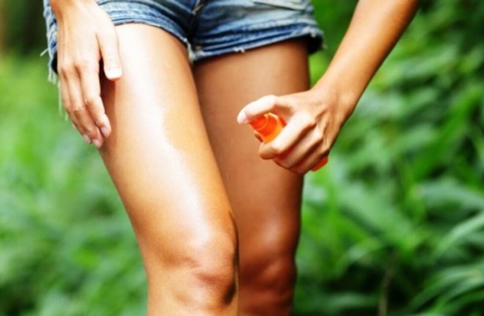 Dengue: Iguazú asume la problemática y repartirá repelente en escuelas