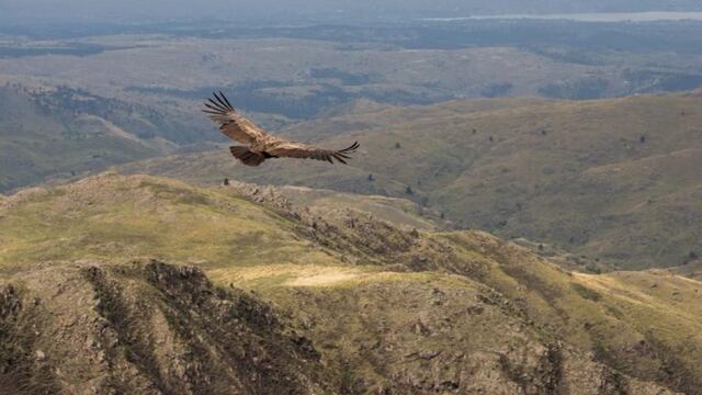 Quebrada del Condorito