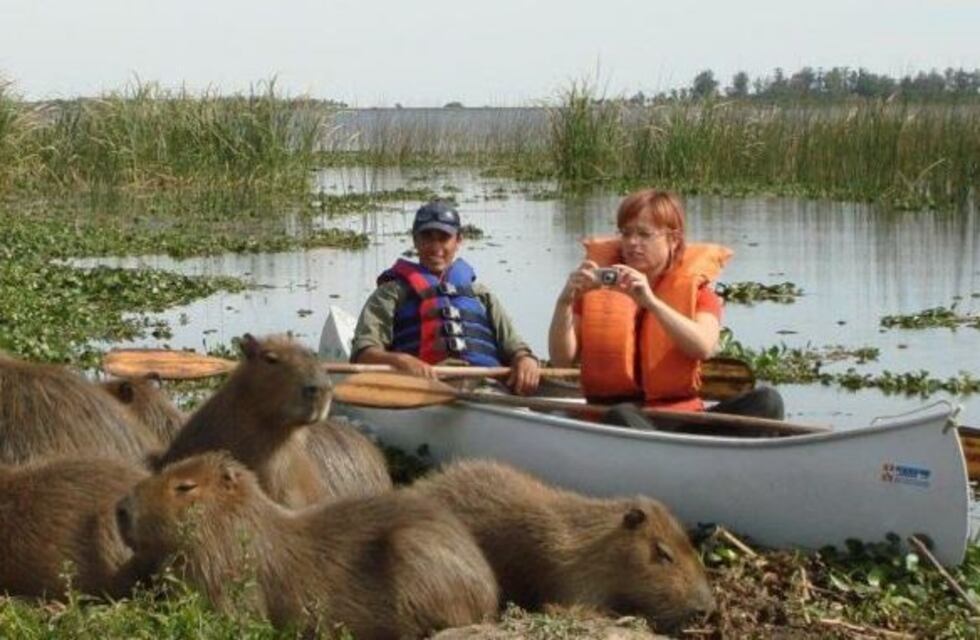 Vacaciones de invierno: Iberá volvió a ser el destino correntino más elegido