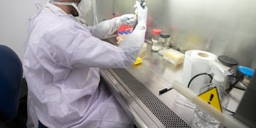 Centro de Excelencia en Productos y Procesos (Ceprocor) - coronavirus