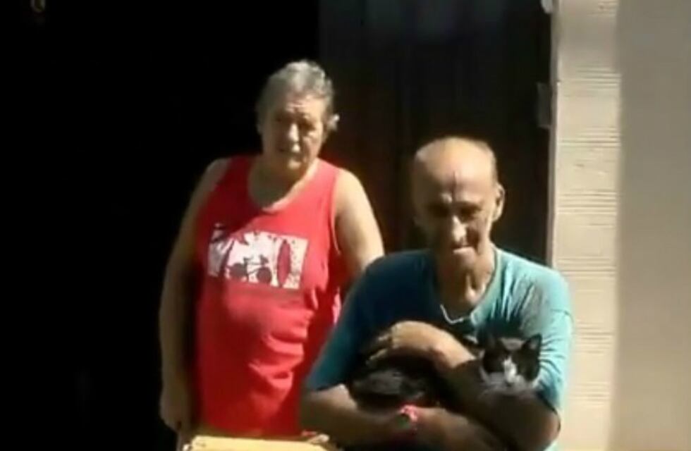 Gata heroína: despertó a su dueño a puro rasguño para salvarlo de las llamas