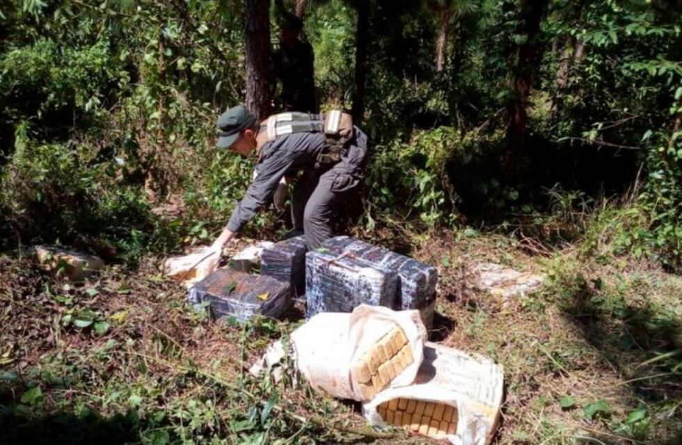 Hallaron casi una tonelada de marihuana en una zona selvática de Misiones
