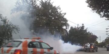 Fumigaciones en Carlos Paz
