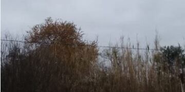 La máxima en Santiago no superará los 21 grados