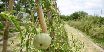 El Parque Ecológico está ubicado en un predio de 200 hectáreas (Municipalidad de La Plata)