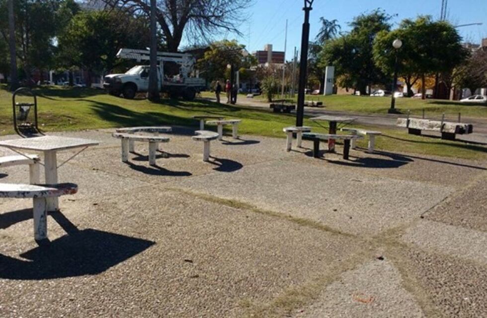 Se reemplazarán los viejos árboles por nuevas especies para darles identidad a las plazas y avenidas