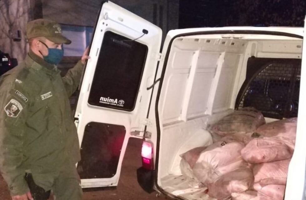 Felicia: Llevaba casi una tonelada de carne en mal estado