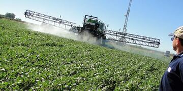 El Consejo Federal de Inversiones ayudará económicamente a la producción entrerriana