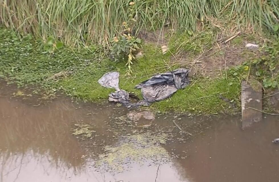 Se dio a conocer la causa de la muerte del bebé mutilado que fue hallado en Ruta 11