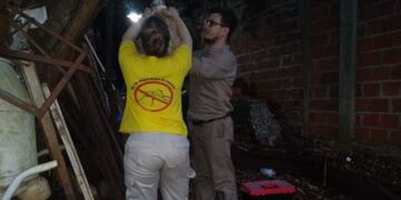 Colocación de trampas para re certificar al país libre de malaria\u002E )M\u002E de Salud)