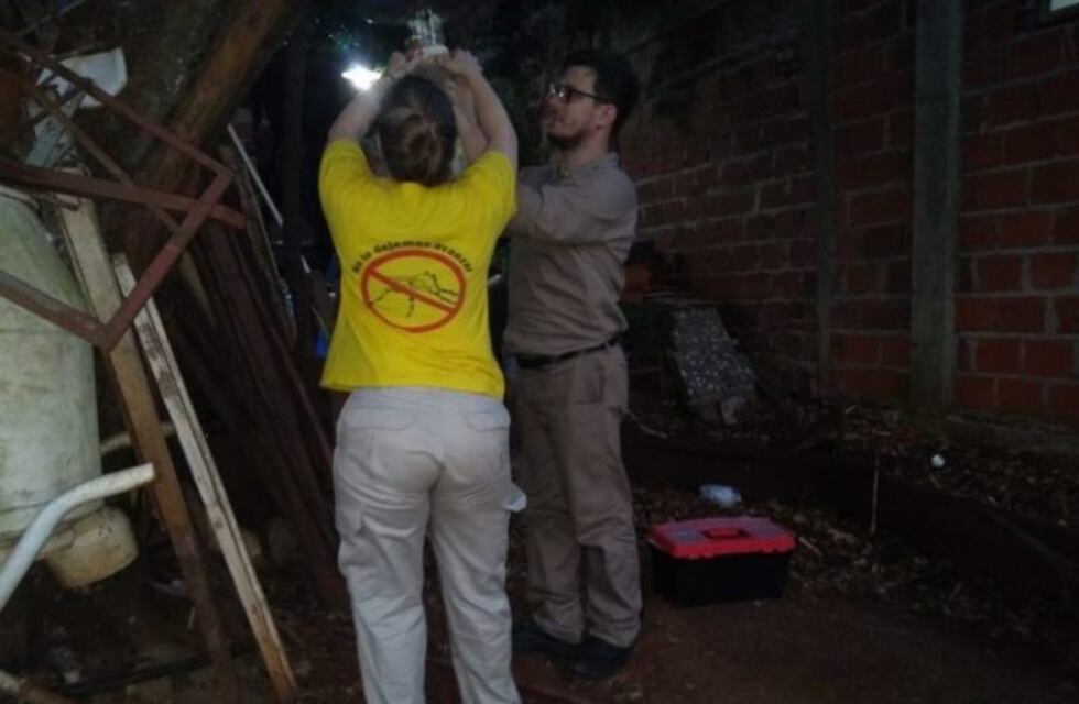 Vigilan mosquitos para mantener el certificado libre de malaria y paludismo